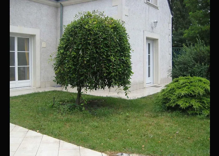 Les Agapanthes La Riche