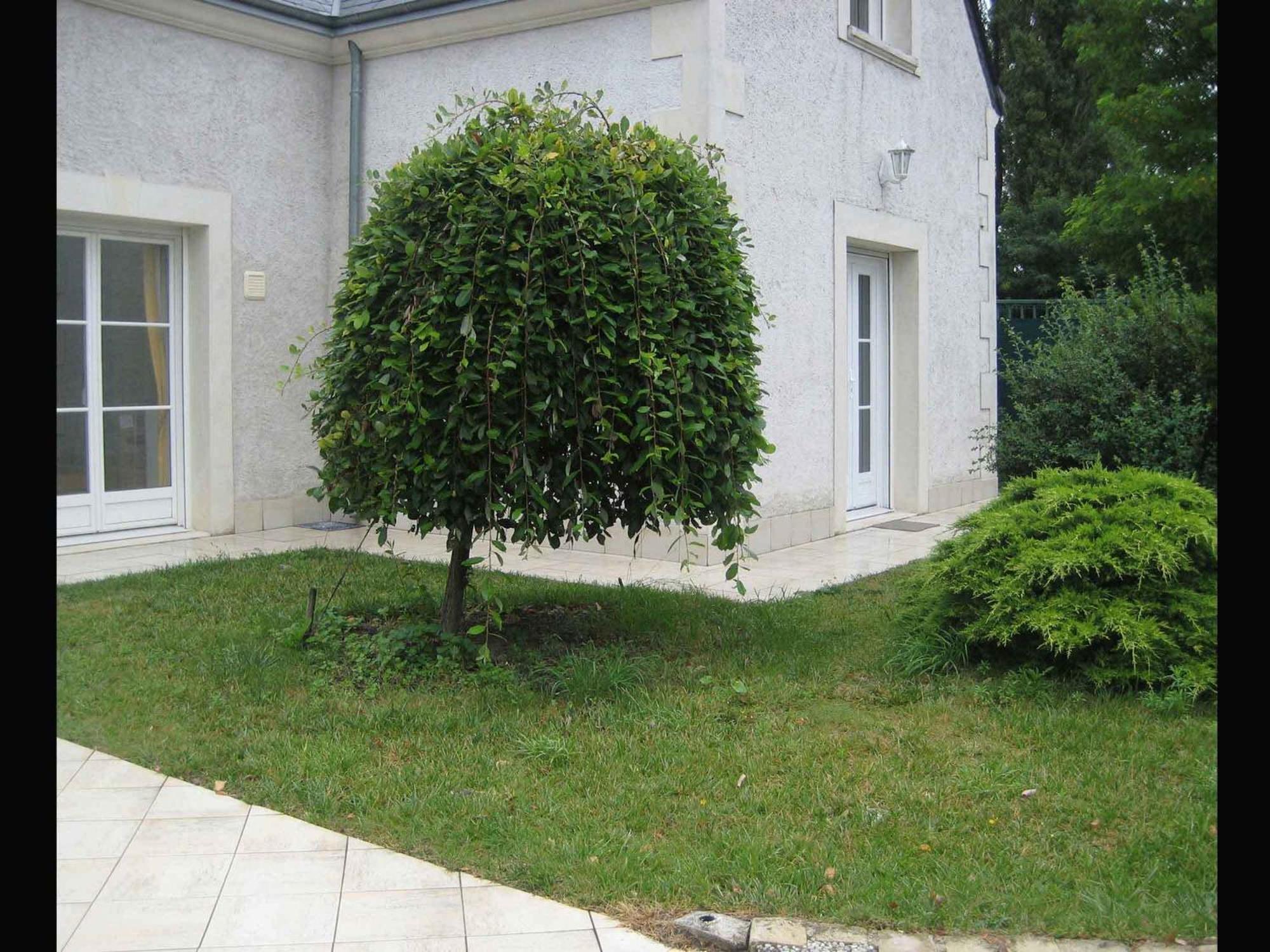 Apartment Les Agapanthes